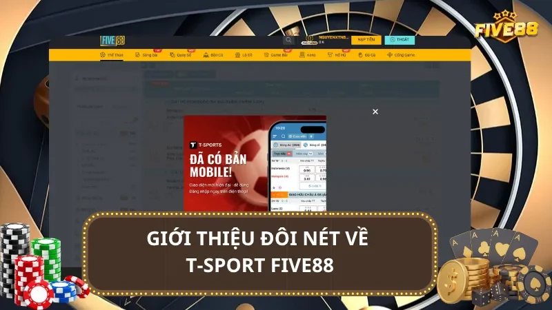 Giới thiệu đôi nét về T-sport Five88
